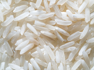 dry grain rice close-up, top view, macro photography