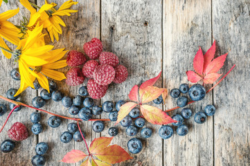 Ripe raspberries and blueberries with red beautiful autumn leaves. Close-up. copy space.