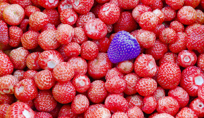 strawberry fruit texture, healthy fruit