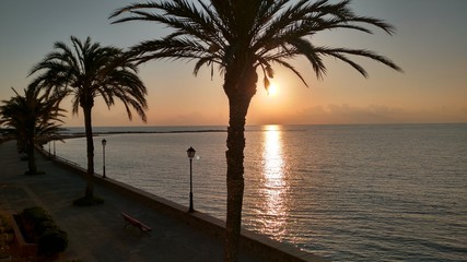 Sol de atardecer y una palmera en el Mar Mediterráneo