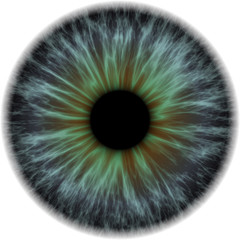 Illustration of a dark blue with orange human iris. Digital artwork creative graphic design.