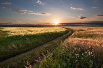 The road going into the sunset