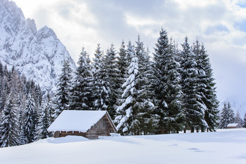 Obraz na płótnie Canvas Surprises in the snowy forest. Huts in the snow. Sappada