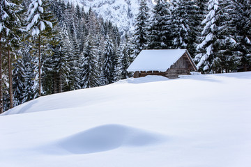 Landscape in the snow. Sappada