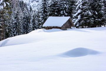 Surprises in the snowy forest. Huts in the snow. Sappada