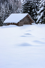 Surprises in the snowy forest. Huts in the snow. Sappada