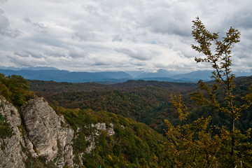 panorama of mountains covered with forest against the sky with clouds