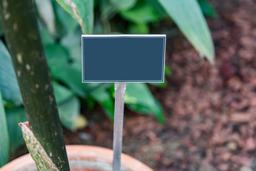 Street direction pointer without signs and symbols
