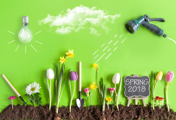 Spring 2018 background