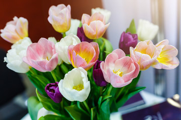 Fresh Tulip Bouquet