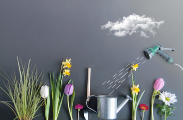 Spring background