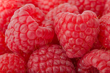 Himbeeren