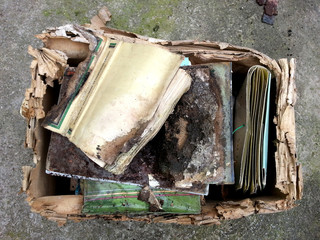 Libros antiguos y destrozados después de una catástrofe 