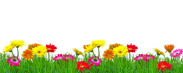 Frühjahr Blumenranke Freisteller
