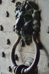 Door Handle