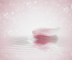 spa relaxant de un pétalo sobre una piedra con agua