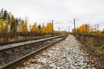 Obraz premium Railway road and trees in yellow colors