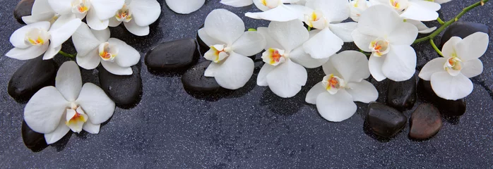 Foto auf Leinwand White orchid and black stones close up. © Swetlana Wall