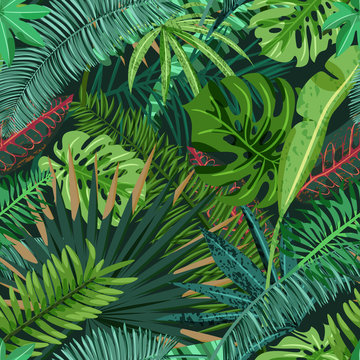 Vector seamless pattern with green tropical palm, monstera leaves. Nature background. Summer or spring trendy design elements for fashion textile prints and greeting cards.