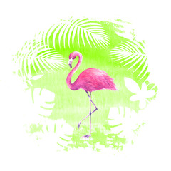 Pink flamingo on green watercolor spot