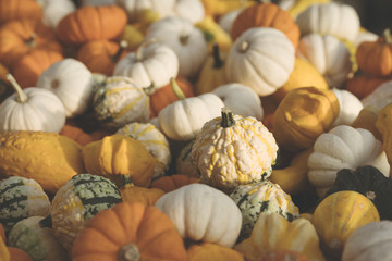 Gourds