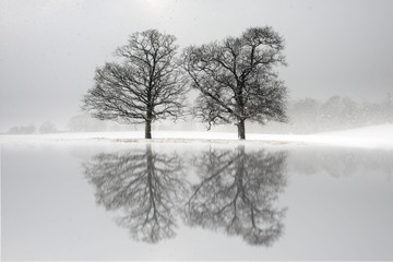 Fototapeta na wymiar Snow covered trees reflected in a lake
