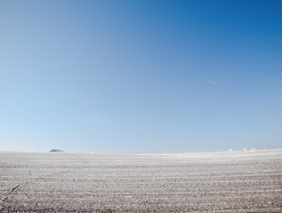 Fototapeta na wymiar Hoarfrost on winter field