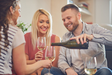 Friends cheering with wine at house party. 