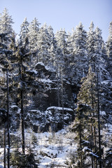 Fototapeta premium Forest winter mountain landscape. Stolowe Mountains in Poland.
