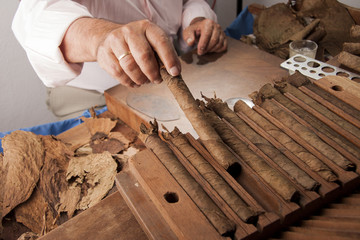 closeup of hands making cigar