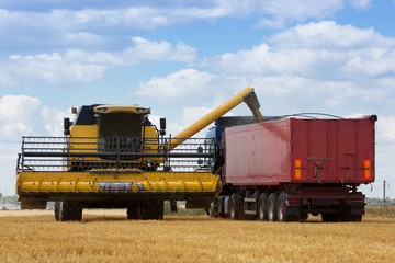 harvesting, the combine pours grain into a large machine, a harvesting machine on an agricultural land