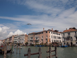 Naklejka premium Blick auf Venedig mit Möwe und blauen Himmel mit einigen Wolken