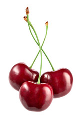 Ripe fresh red cherry isolated on white background. With clipping path.