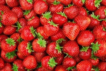 Fotobehang Strawberry. Fresh organic berries macro. Fruit background © Tim UR