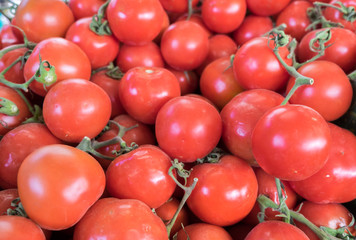 Organics tomatoes sold at farmers market