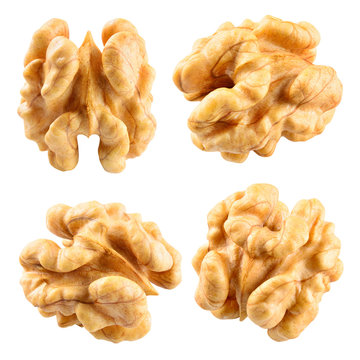 Walnut. Walnut kernel. Nut isolated on white. With clipping path.