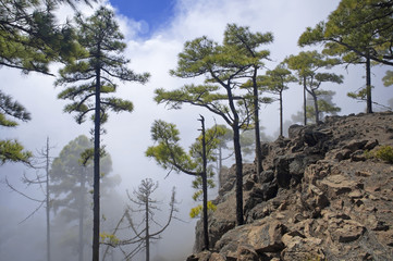 West of Gran Canaria, February 2018