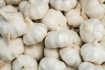 Obraz na płótnie Canvas fresh dry garlic sold at city farmers market