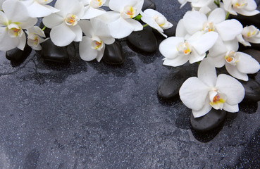Naklejka na ściany i meble Spa background with white orchid and black stones.