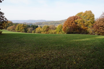 Wald im Herbst