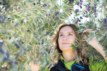 Attractive woman posing in olive trees garden. Woman's portrain over mediterranean olive field...