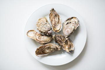 Oysters. Raw fresh oysters are on white round plate, image isolated, with soft focus. Restaurant...