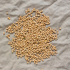 Dry chikpea on rustic linen textile. Source of protein for vegan healthy diet.