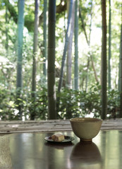 Traditional Japanese tea ceremony serving with scenery