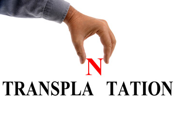 Transplantation 