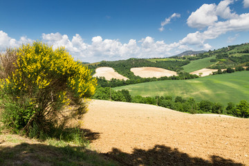 Umbrian landscape 2
