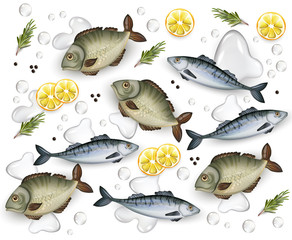 Fresh fish pattern vector realistic. Water splash and lemon decor 3d illustrations
