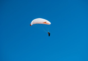 Descent of a paraglider in the blu sky