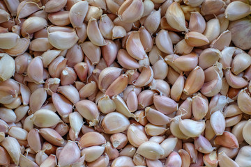fresh garlic in market which is raw food material