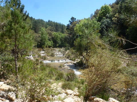 Parque Natural de Cazorla, Jaen (Andalucia,España) Ruta rio Borosa
